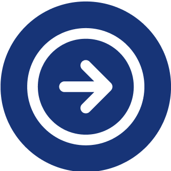 Alternate Text